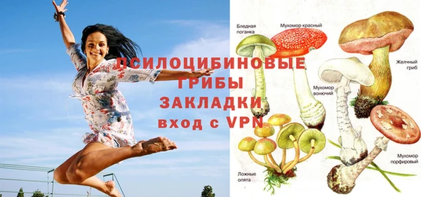 крисы Балабаново