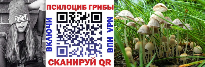 Галлюциногенные грибы MAGIC MUSHROOMS  Купить где  Светлоград 
